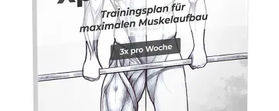 Xplode Aufbau-System