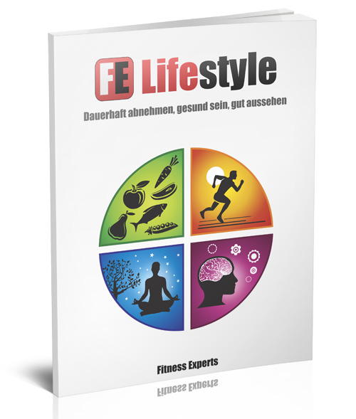 FE Lifestyle (PLUS) Cover