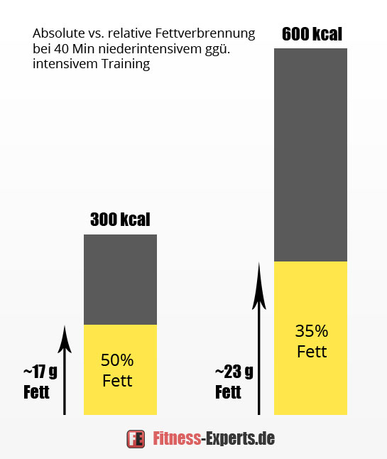 Vergleich von absoluter und relativer Fettverbrennung