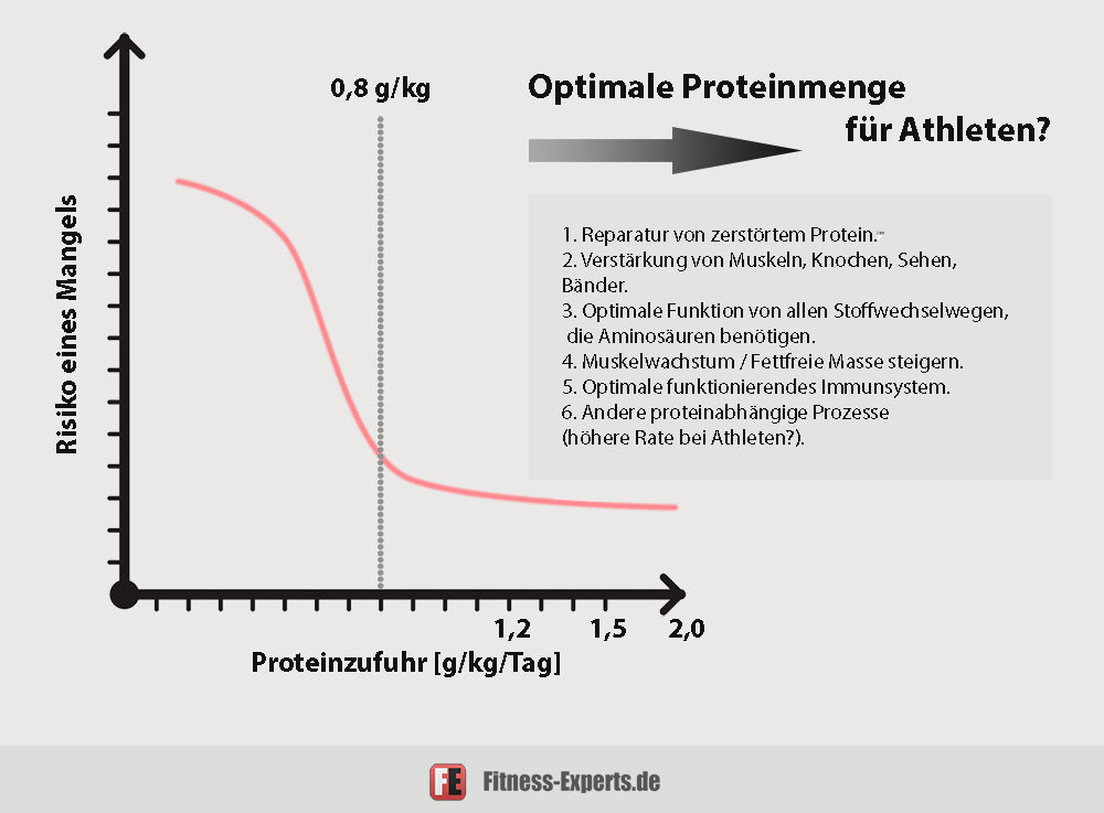 Optimale Proteinzufuhr Sportler/Athleten