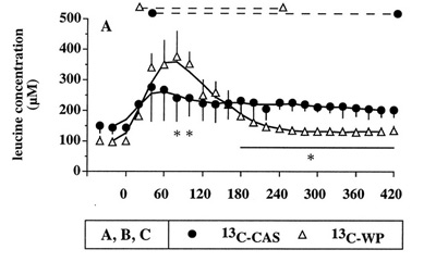 Blutspiegel von Leucin im Vergleich zweischen Kasein (volle Kreise) und Whey (weiße Dreiecke). Bildquelle: Boirie Y et al. 1997